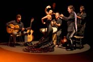 Alhambra Tour with Tickets and Expert Guide + Flamenco Show in Granada
