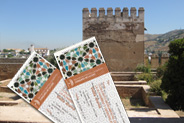 Visit guided without transport to Alhambra