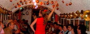 Visita Alhambra + Flamenco